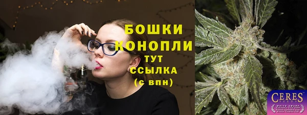 гашик Бородино