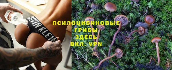 экстази Переславль-Залесский