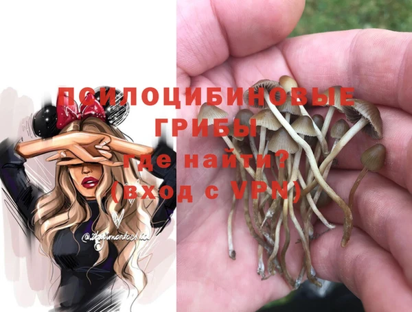 гашик Бородино