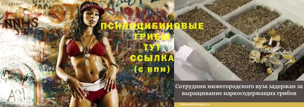 ECSTASY Бугульма