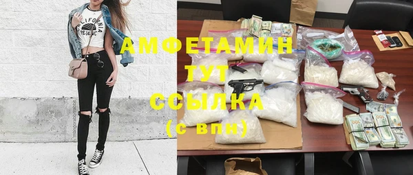 амф Пестово
