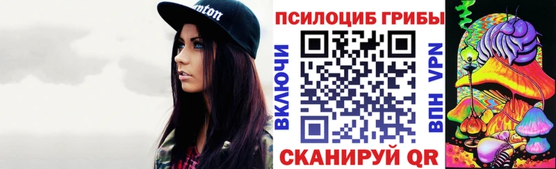 Псилоцибиновые грибы Cubensis  Юрга 