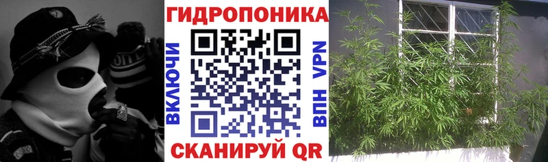 где можно купить Юрга МАРИХУАНА сатива